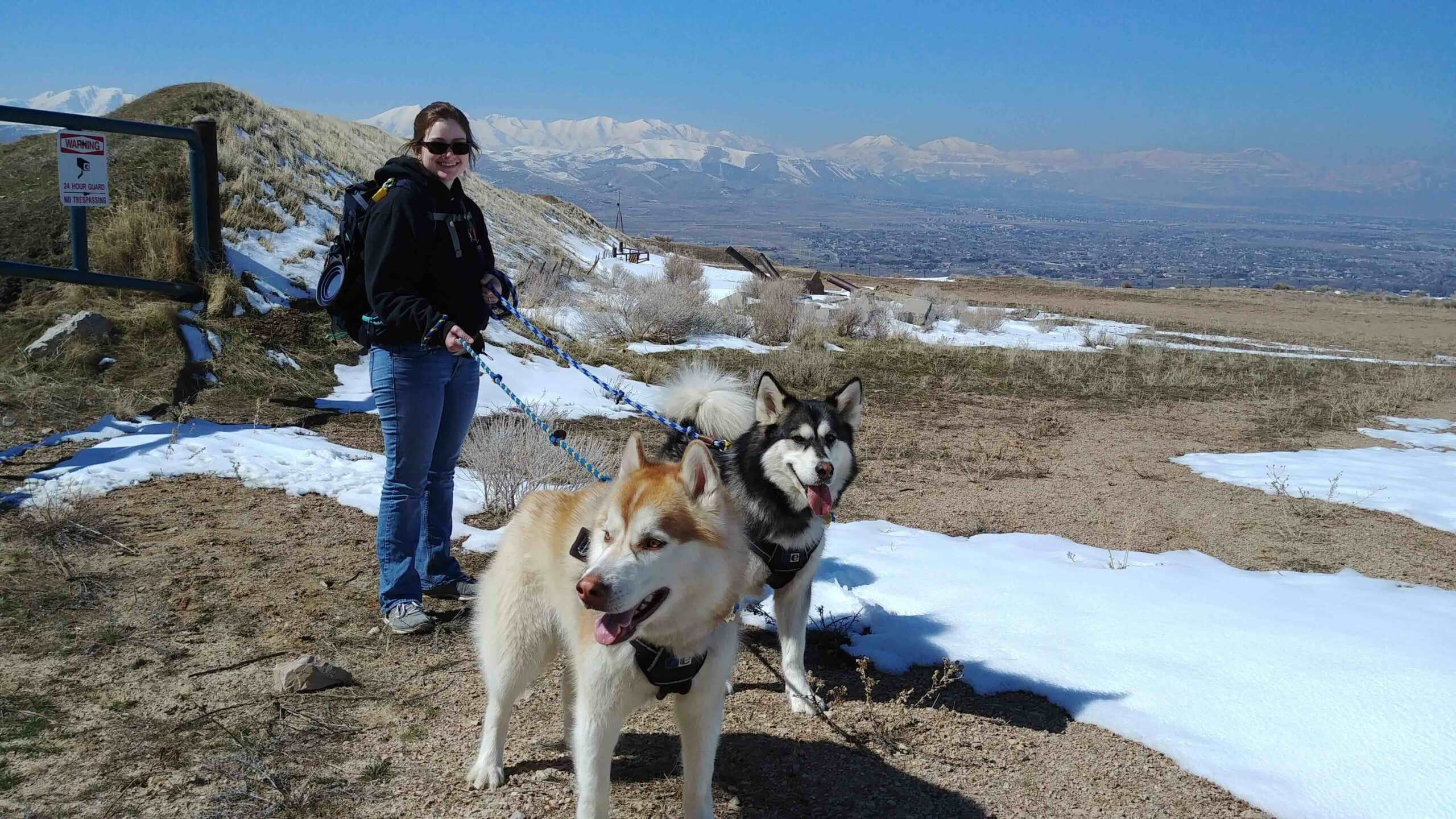 Kacie walks dogs at a house sit in Utah